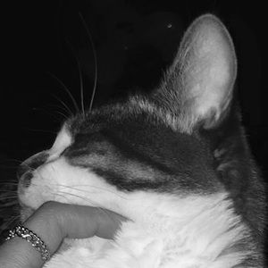 Meet your Posher, Kate